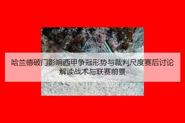 哈兰德破门影响西甲争冠形势与裁判尺度赛后讨论 解读战术与联赛前景